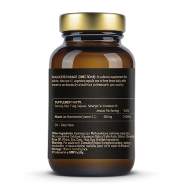 Fuel-Up Niacinamide 500 mg