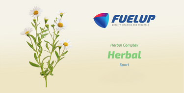 Fuel-Up MACA 10:1