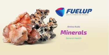 Fuel-Up Chelated Iron